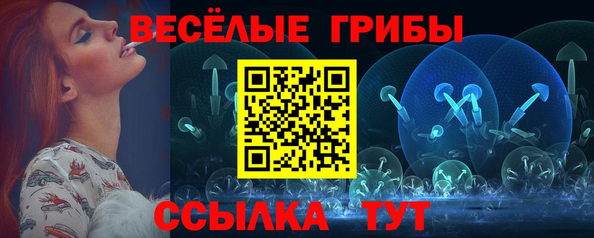 наркошоп  Псилоцибиновые грибы MAGIC MUSHROOMS  Вход с VPN  Златоуст 